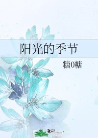 阳光的季节